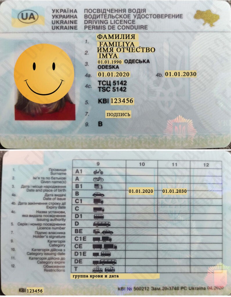 Портфоліо Пухнастого Партнера – зразки наших робіт